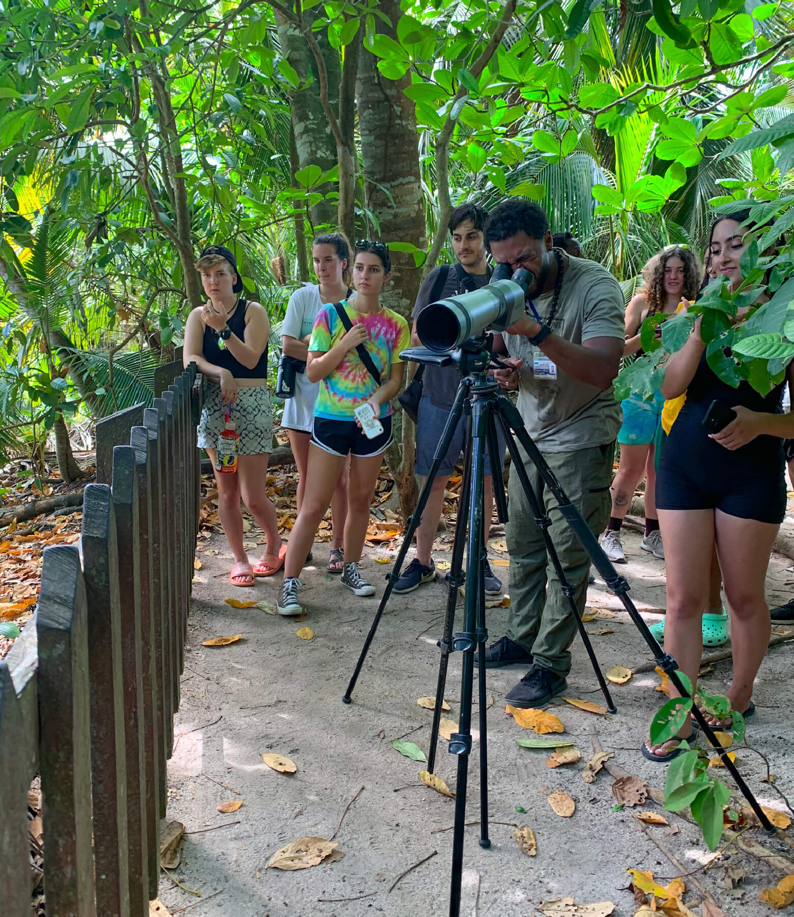 cahuita-tours-hiking@2x-100