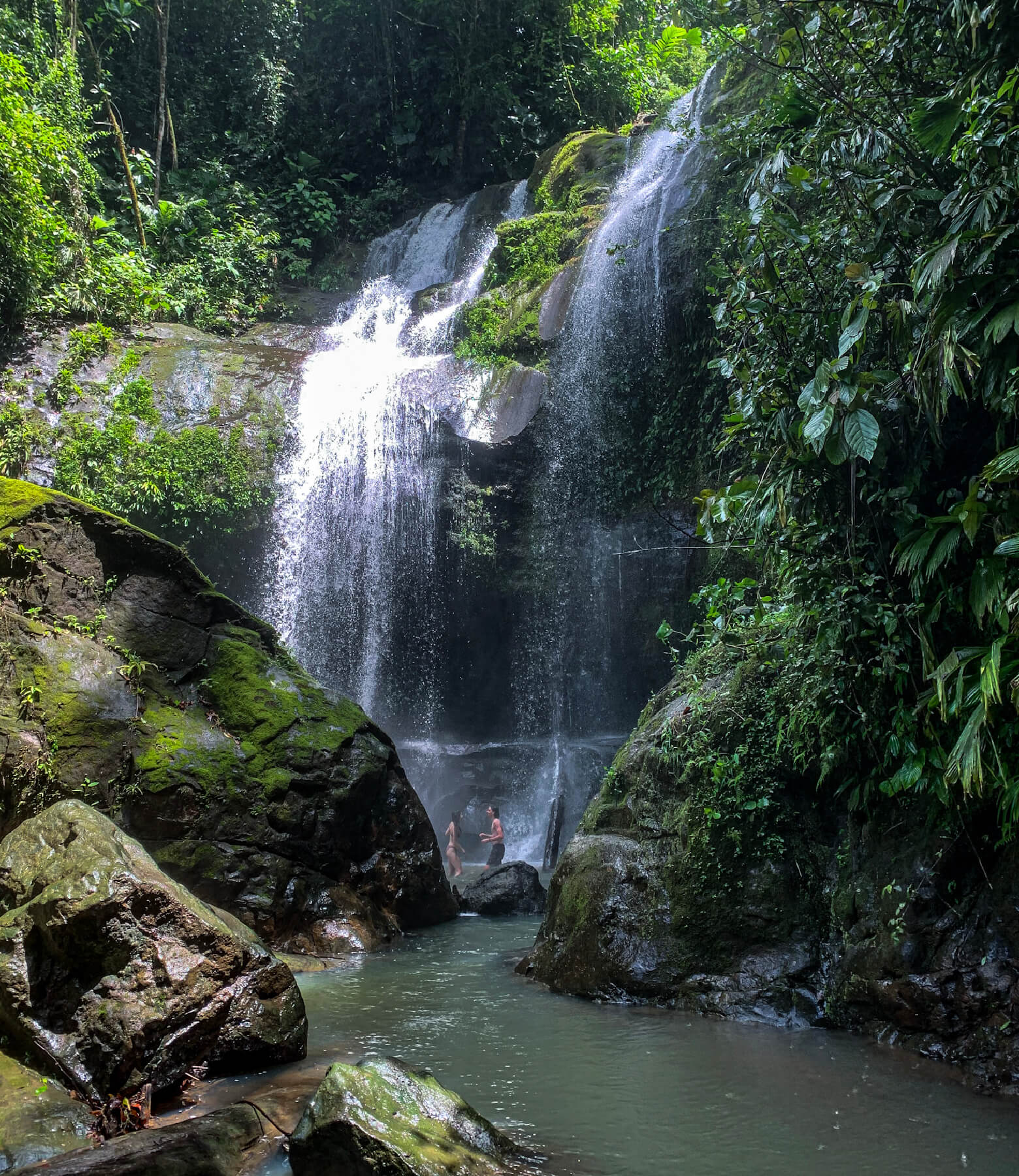 cahuita tours office